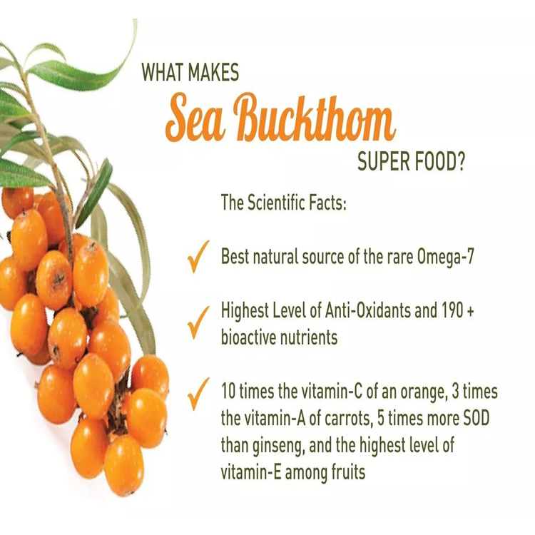 Sea Buckthorn Powder