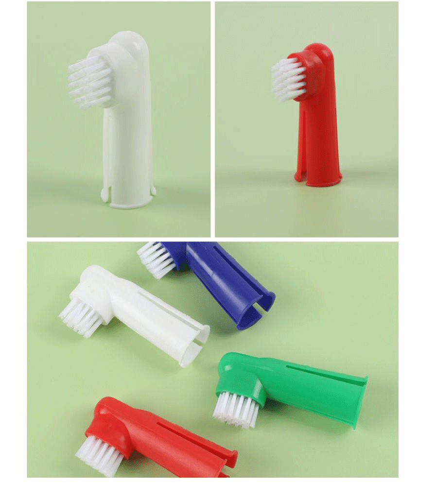Pet cleaning-xiangqing2-BST013