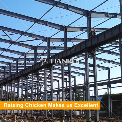 China manufacturer prefabricated poultry farm structures