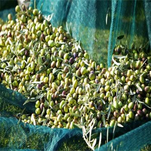 100% hdpe olive harvest netting