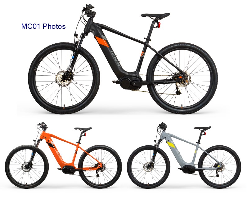 Customized Electric Bicycle With Pedals