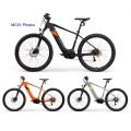 Customized Electric Bicycle With Pedals