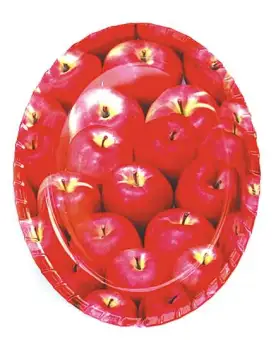 HW9964,PLASTIC PLATE