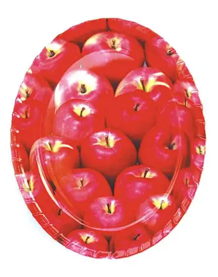 HW9964,PLASTIC PLATE