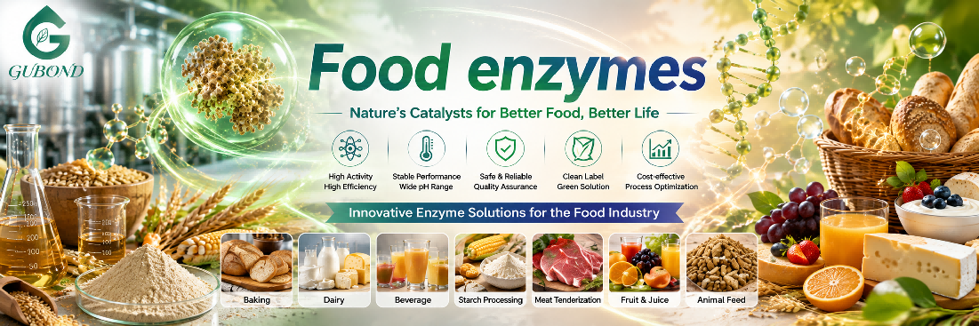 Food enzymes