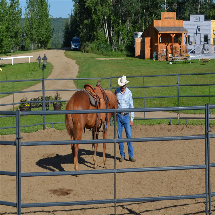 cattle horse paddock metal round pen fence