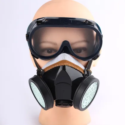 Protective glasses and gas half-mask set