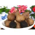 Lezat Single Bulb Black Garlic Untuk Dijual