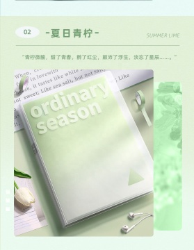 A4 Clear Pocket Plastic Document File Folder