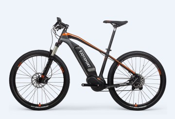 Customized Assisted Electric Bike