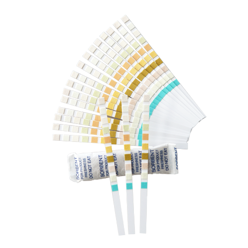 Urin -Teststreifen 10 Parameter 10T Urinanalysstreifen