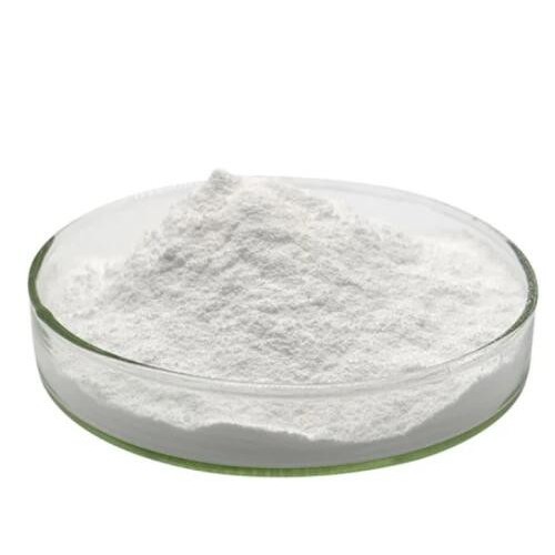 Bifidobacterium adolescentis