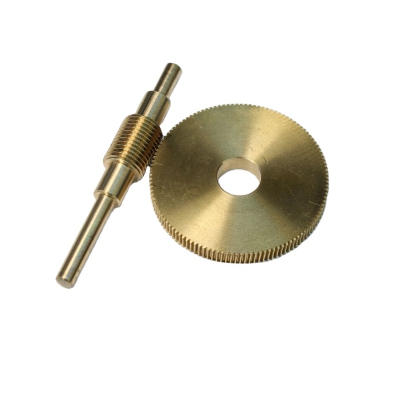 Customized Small Copper Spur Worm Gear