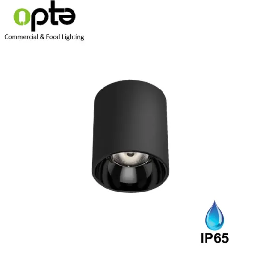 IP65 Waterproof 30W Cylinder-Shaped LED Downlight for Hotel Projects