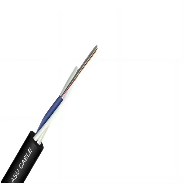 ASU Fiber Optic Cable 12 Core