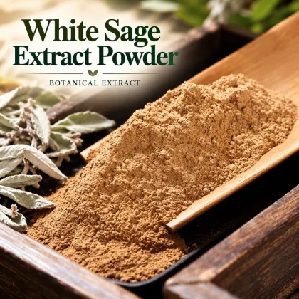 10:1 White Sage Extract Powder
