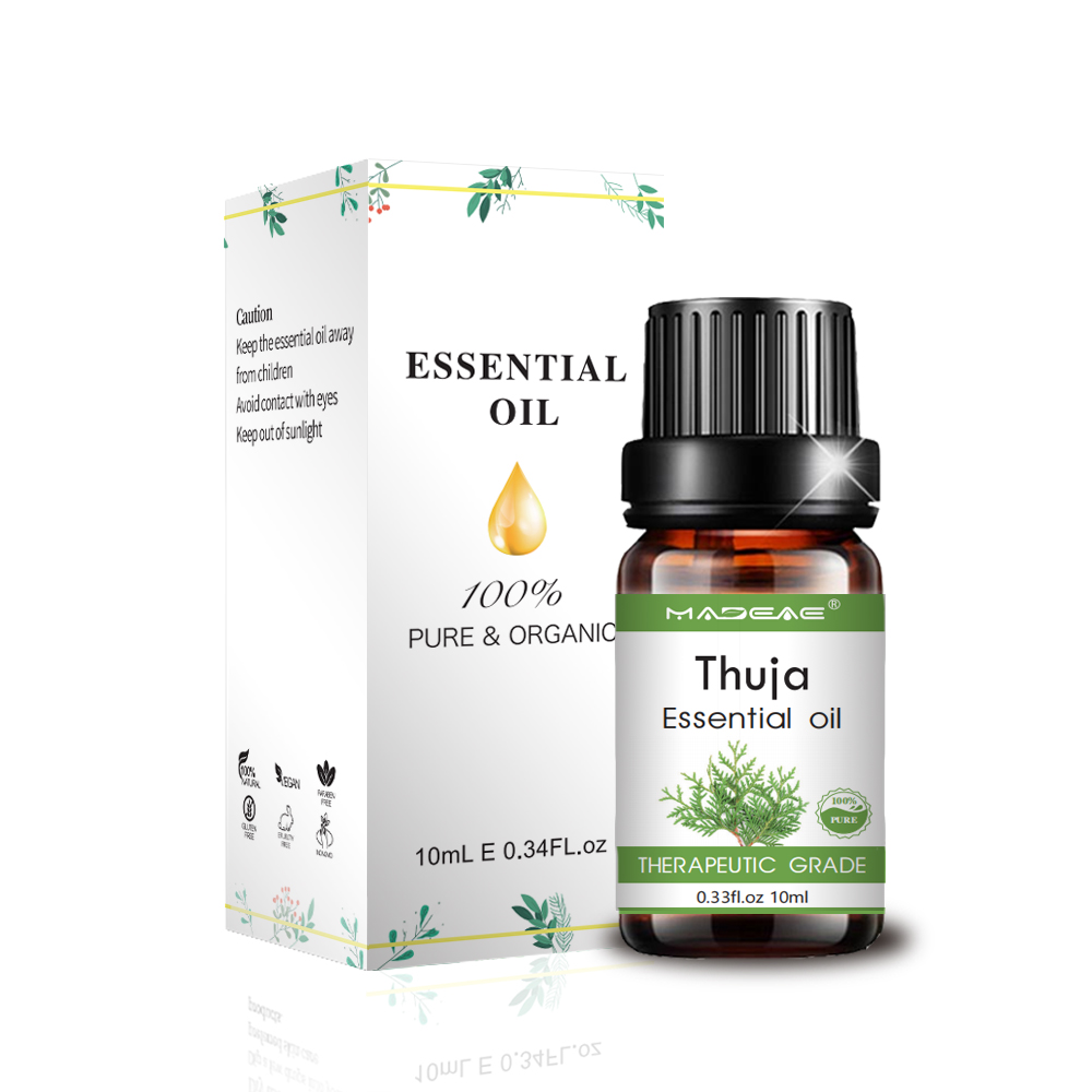 روغن ضروری Thuja خالص با قیمت عمده فروشی