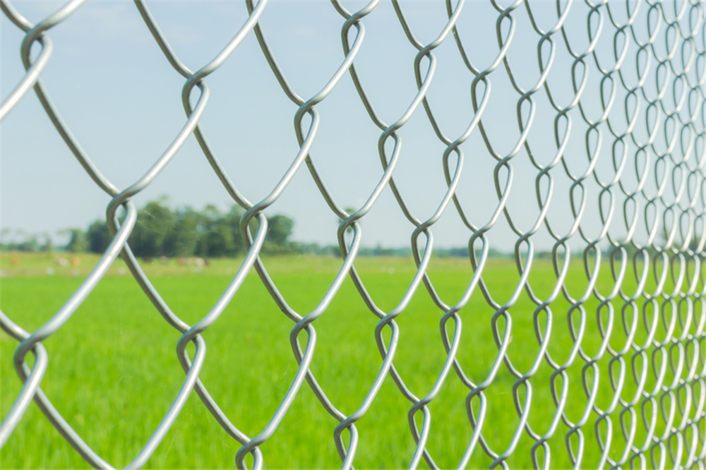 Galvanised-Chain-Link-Fence