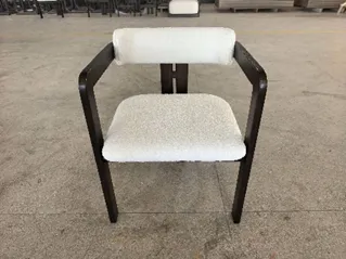 Luxury Modern Dining Chair