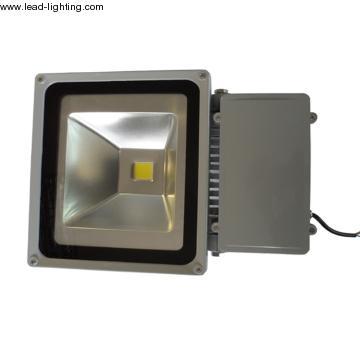 LED Flood Light (LD-FL-60W-CL1)