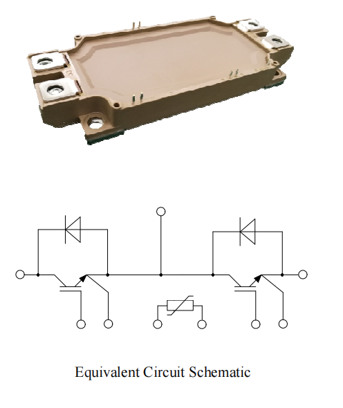 IGBT Module YZPST-450B170E53(1)