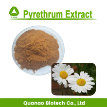 Pyrethrum extract 10:1 pyrethrin 25% for insecticide