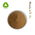 Natural Ajuga Turkestanica Extract Turkesterone 2% Powder