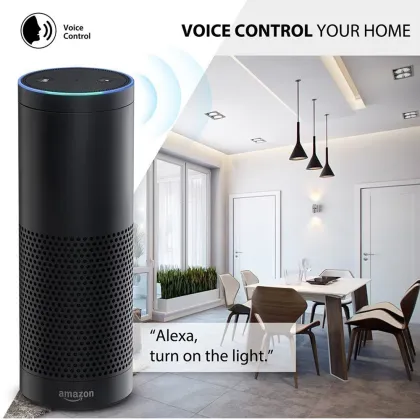 Tuya Smart Zigbee Light Switch with Google Alexa Voice Control