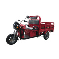 Trike elétrico ecológico 60v1200W