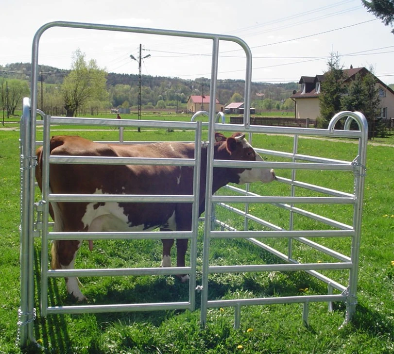 Низкая цена оптовая панельная панельная панель крупного рогатого скота забор оцинкованные панели домашнего скота для продажи