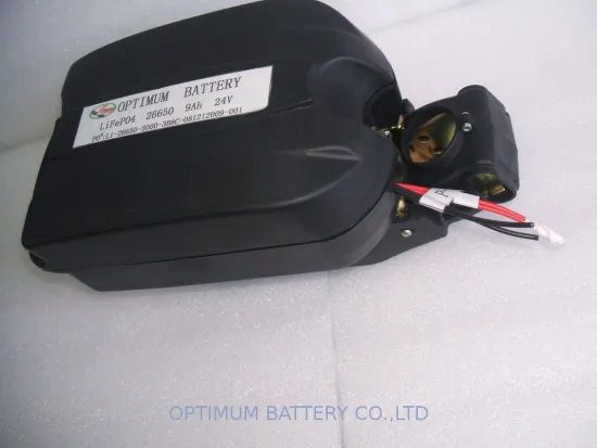 Electric Bike Lithium Batter 24v-10ah With Charger And Little Frog Case For Electric Bikes