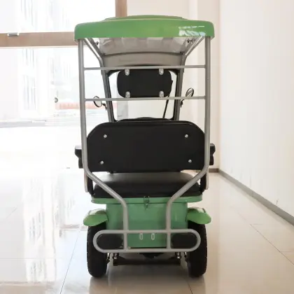 Elderly mobility electric vehicles