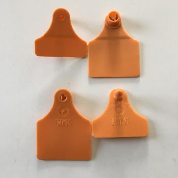 Camel ear tag