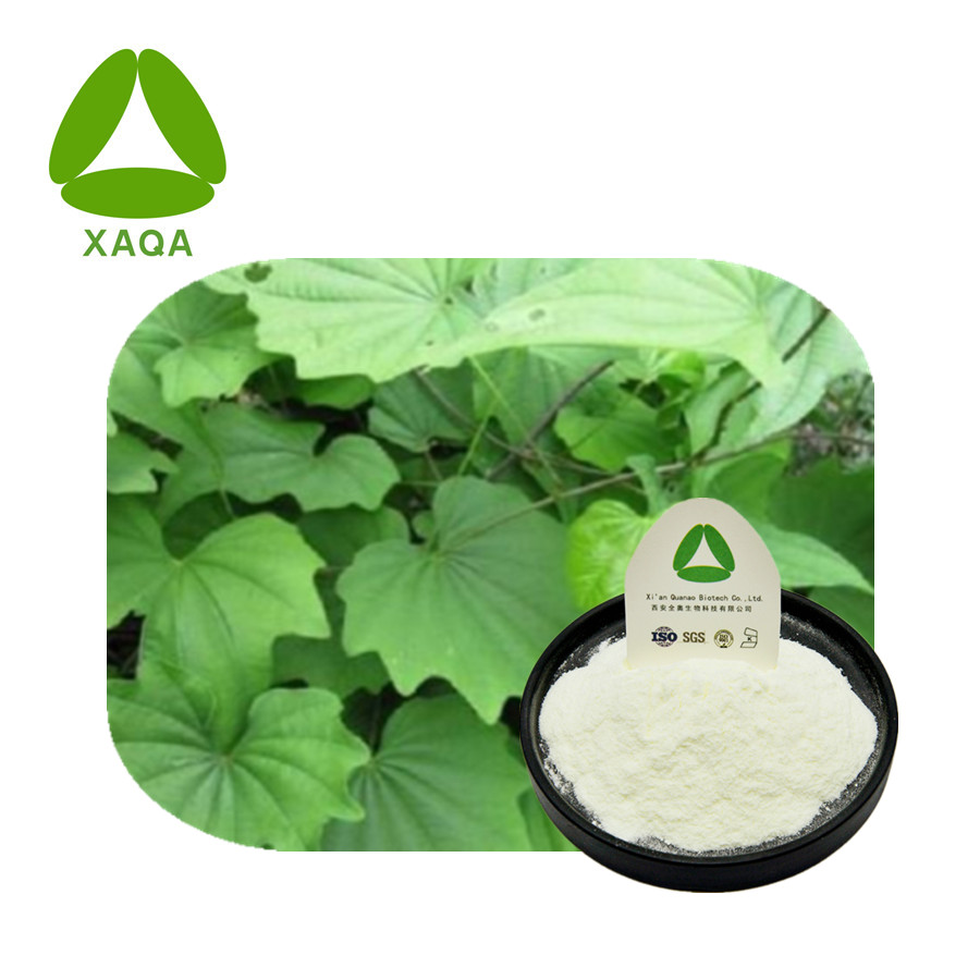 Dioscorea Nippica Extract Dioscin Powder CAS 19057-60-4