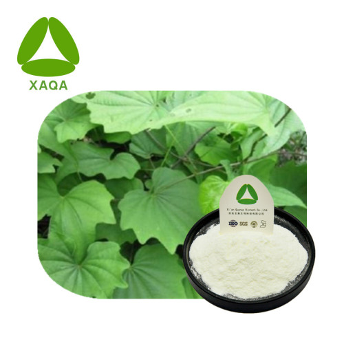 Dexamethasone 99% Dioscorea Nipponica Extract Dioscin Powder CAS 19057-60-4 Manufactory