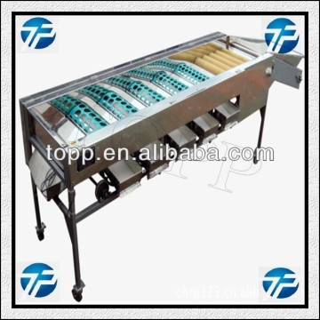 Elliptical or Round Fruit Washing and Sorting Machine
