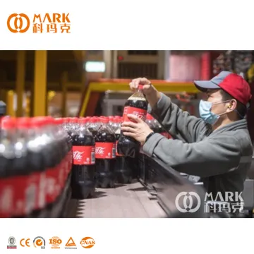 Full Automatic Water Treatment System for Carbonated Soft Drinks