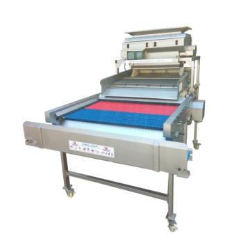Industrial Automatic Grape Seed Removal Machine