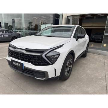 Kia Sportage household vehicle