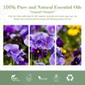 Aceite esencial de violeta orgánico 100% puro para anti -inflamación, cuerpo, piel