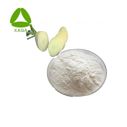 Dried White Turnip Radish Powder White Powder