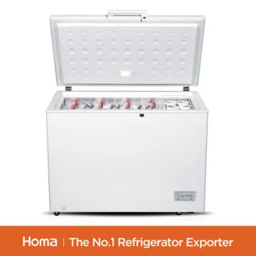BE1-316 household White chest freezer-4