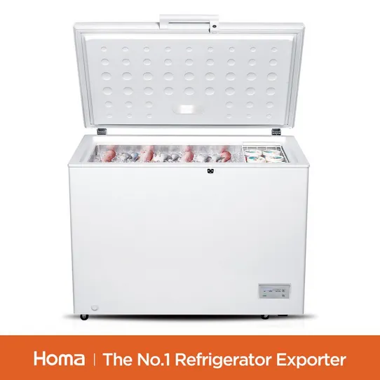 BE1-316 household White chest freezer-4