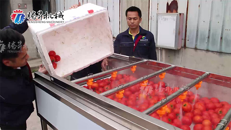 industrial fruit washing machine