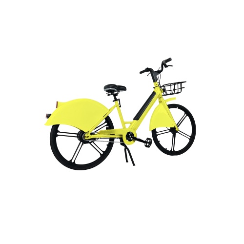 Share Automatic Lock Electric Sharing Bike Sharing eBike