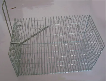 Metal live animal trap