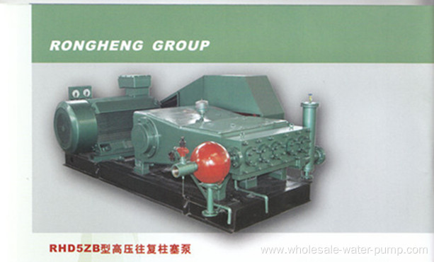 Single cylinder reciprocating high pressure pump