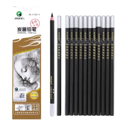 professional Black general Charcoal pencils set