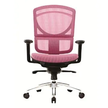Ergonomic Chair