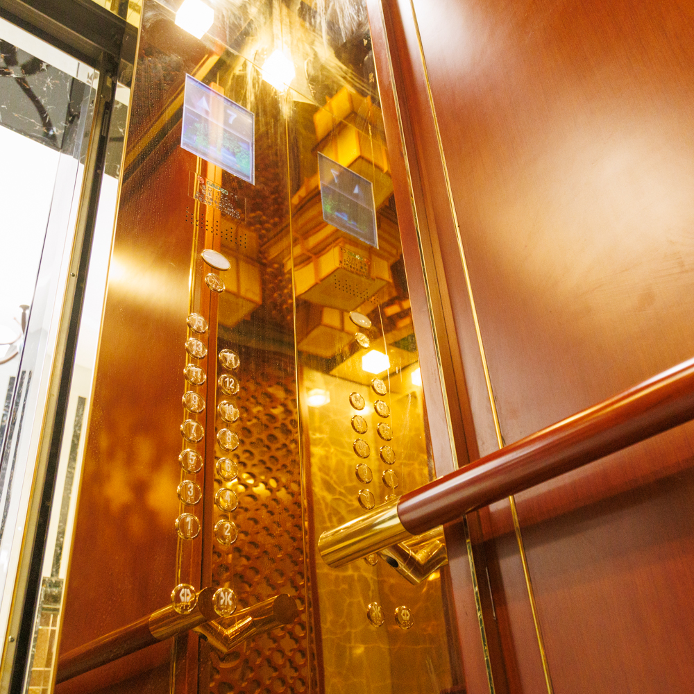 Passenger Elevator Apsl Wood Grain Hollow